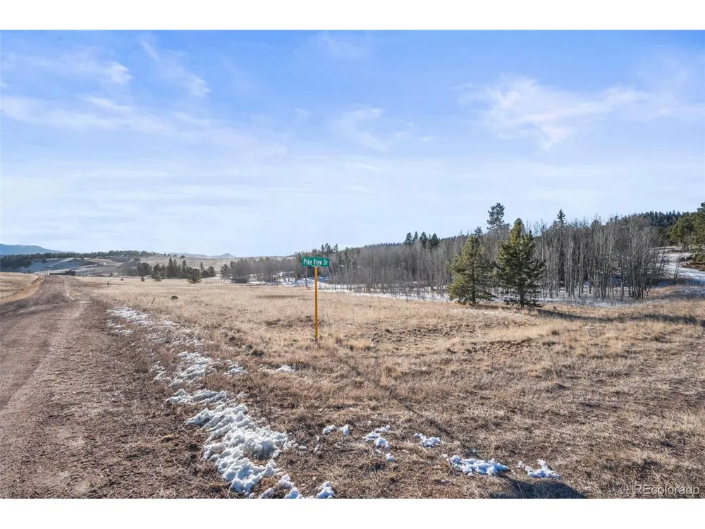 546 Alpine Meadows Lane Florissant, CO 80816