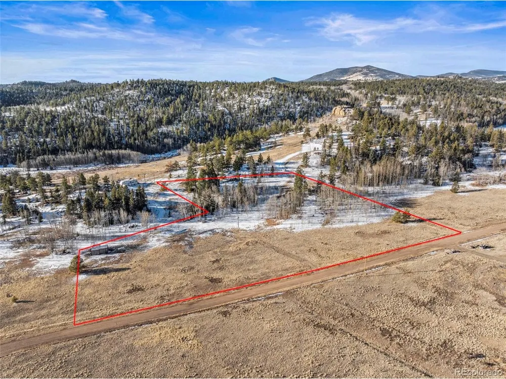 546 Alpine Meadows Lane Florissant, CO 80816