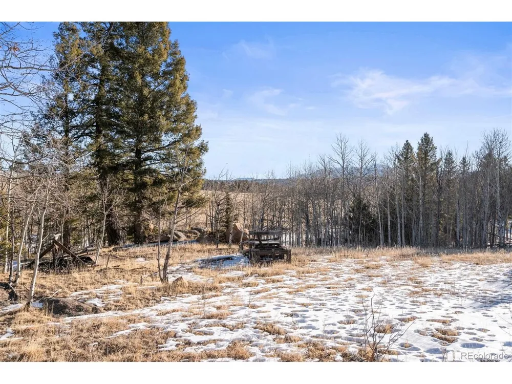 546 Alpine Meadows Lane Florissant, CO 80816