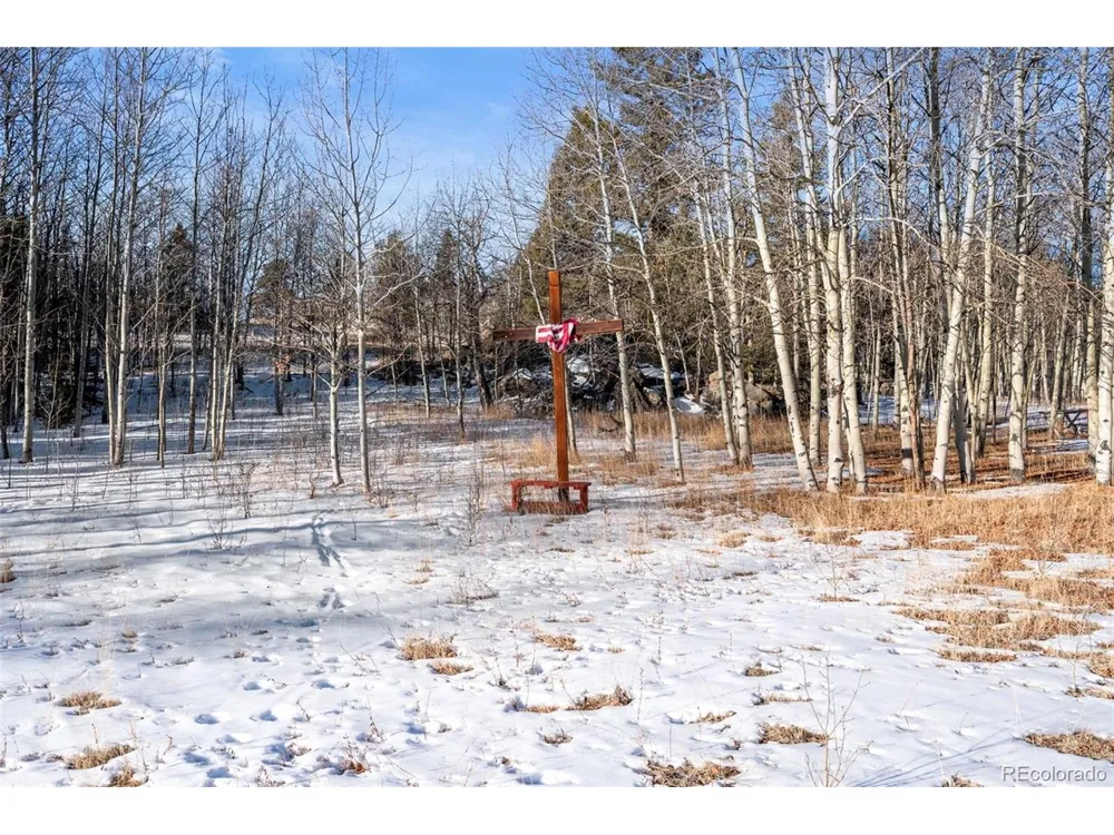 546 Alpine Meadows Lane Florissant, CO 80816