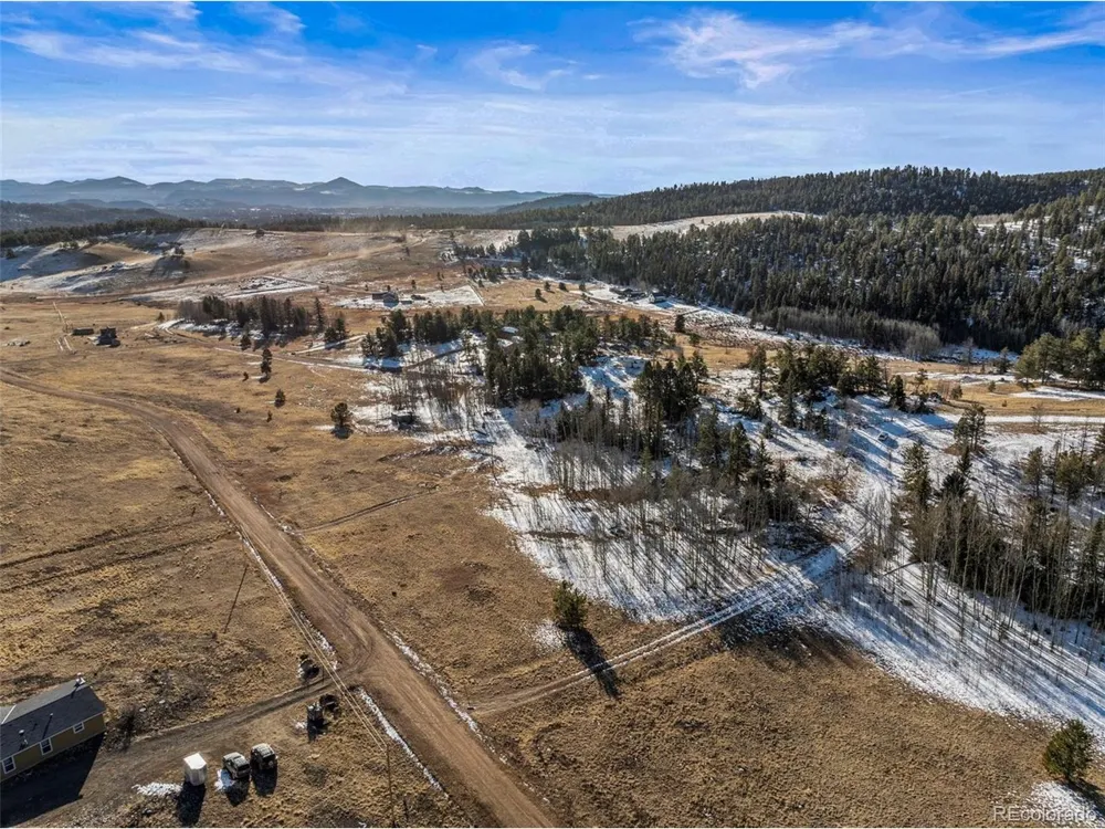 546 Alpine Meadows Lane Florissant, CO 80816