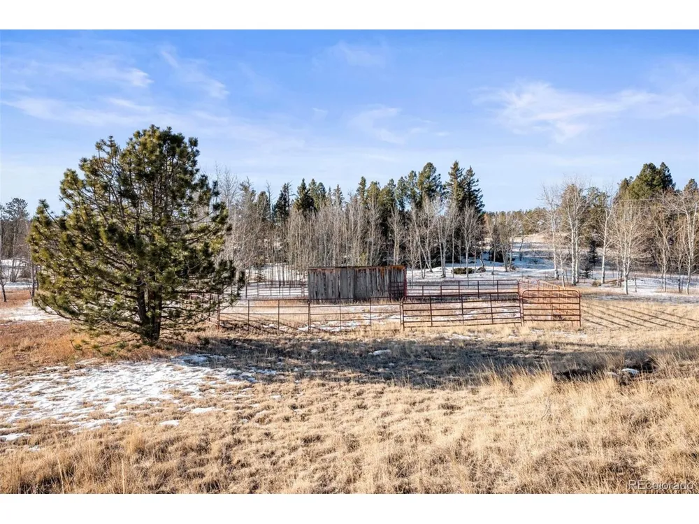 546 Alpine Meadows Lane Florissant, CO 80816