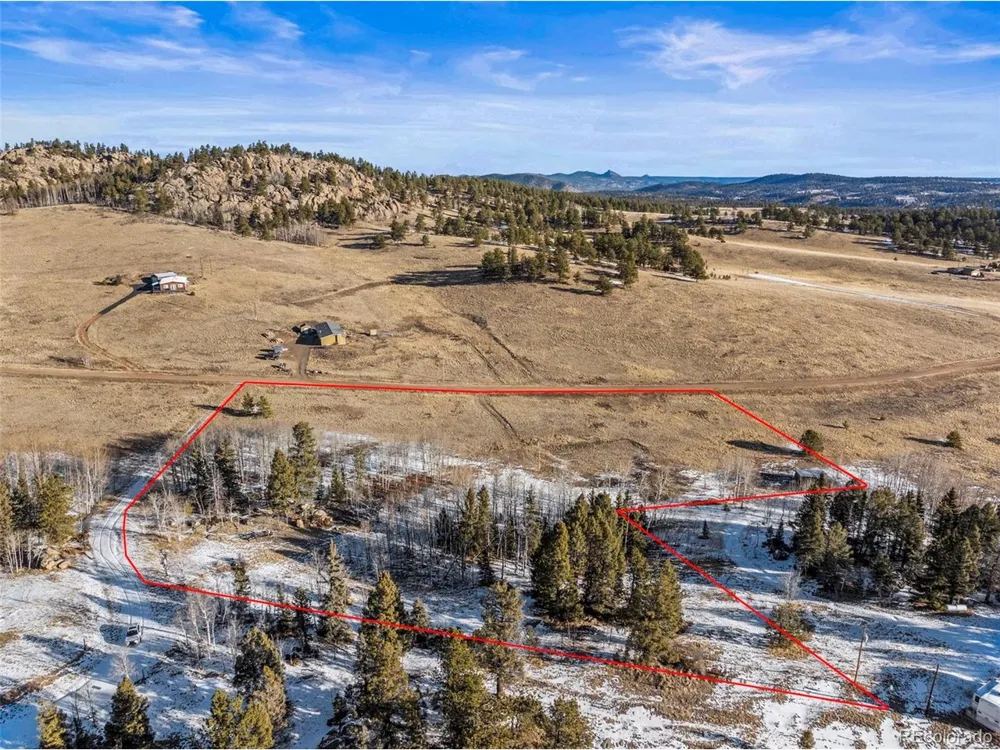 546 Alpine Meadows Lane Florissant, CO 80816