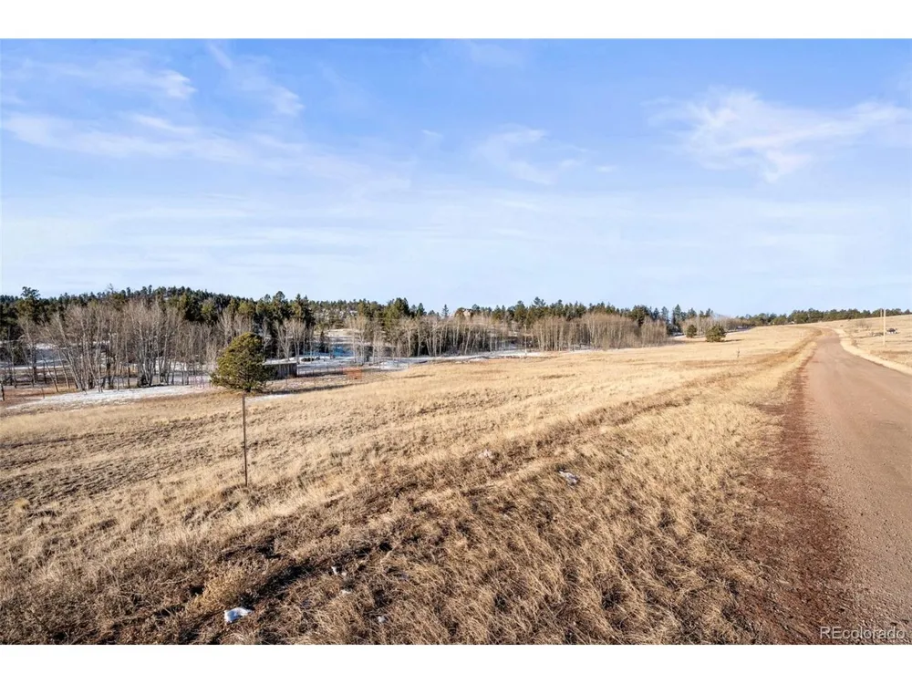 546 Alpine Meadows Lane Florissant, CO 80816