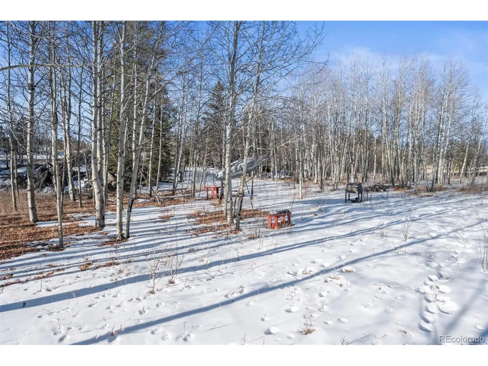 546 Alpine Meadows Lane Florissant, CO 80816
