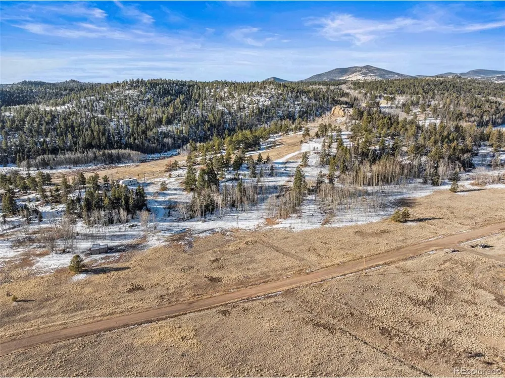 546 Alpine Meadows Lane Florissant, CO 80816