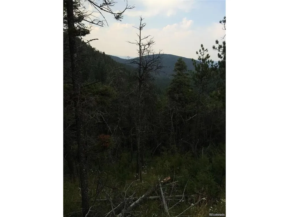 13499 S Firedog Way Larkspur, CO 80118