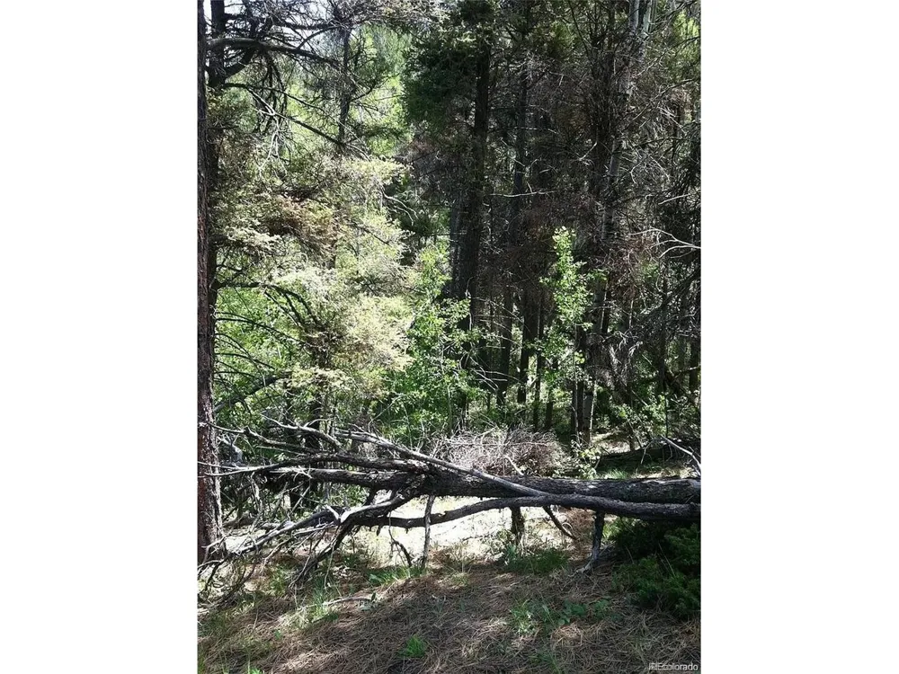 13499 S Firedog Way Larkspur, CO 80118