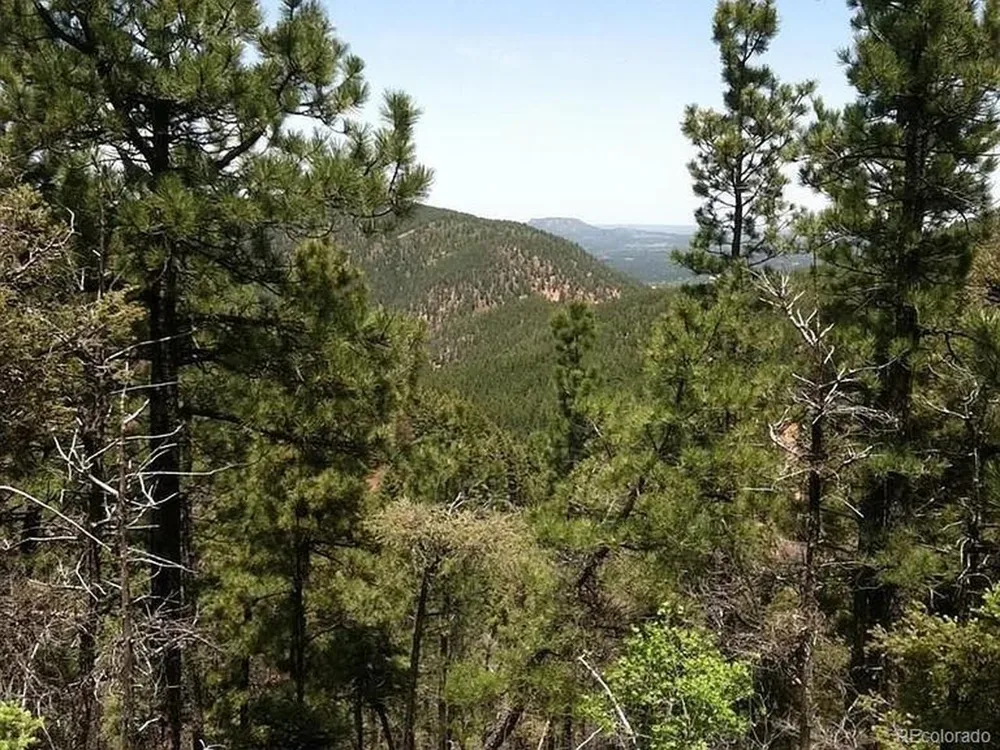 13499 S Firedog Way Larkspur, CO 80118