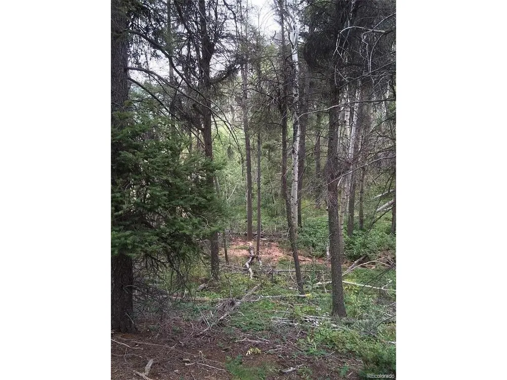 13499 S Firedog Way Larkspur, CO 80118