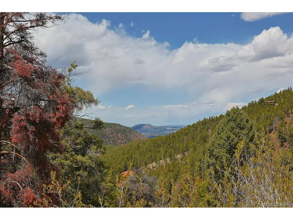 13499 S Firedog Way Larkspur, CO 80118