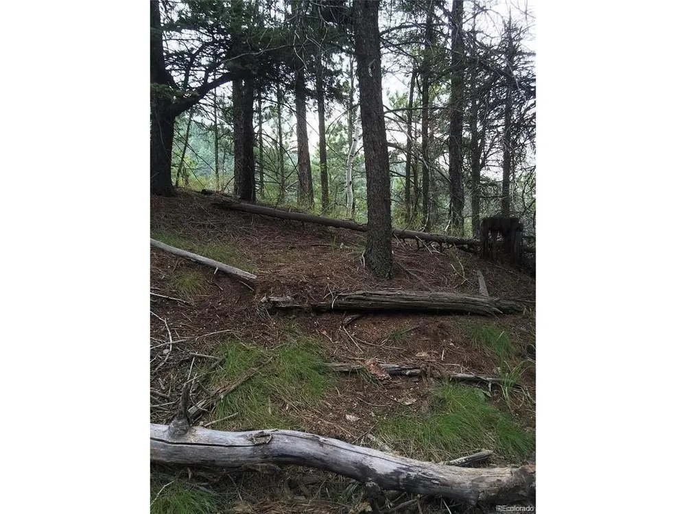 13499 S Firedog Way Larkspur, CO 80118