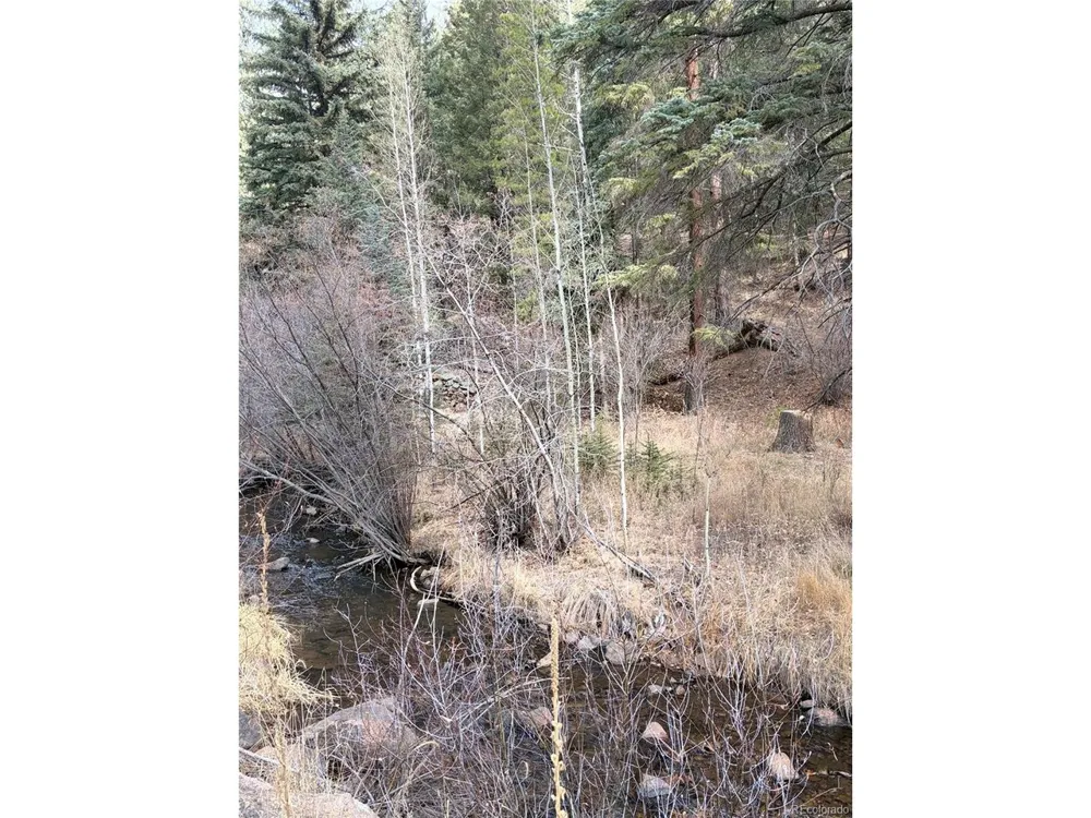 0 S Elk Creek Road Pine, CO 80470