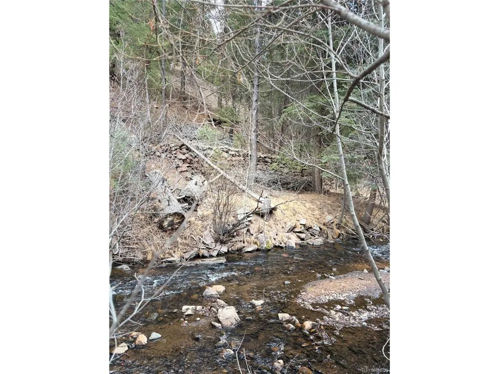 0 S Elk Creek Road Pine, CO 80470