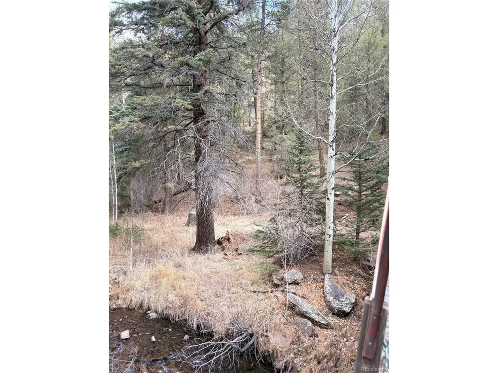 0 S Elk Creek Road Pine, CO 80470