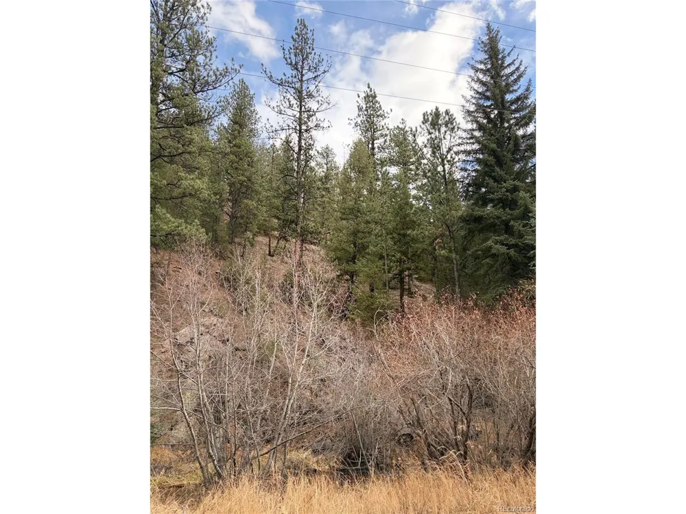 0 S Elk Creek Road Pine, CO 80470