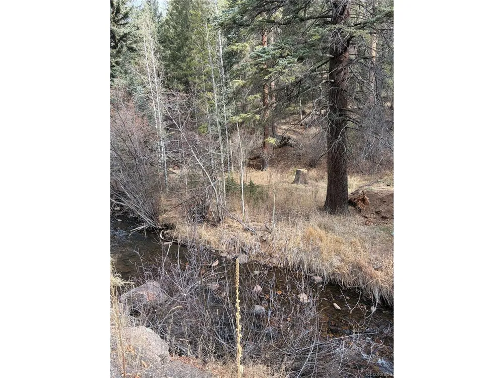 0 S Elk Creek Road Pine, CO 80470