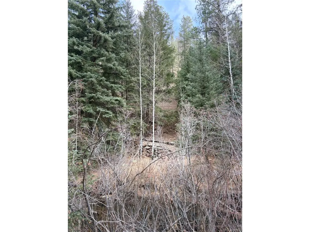 0 S Elk Creek Road Pine, CO 80470