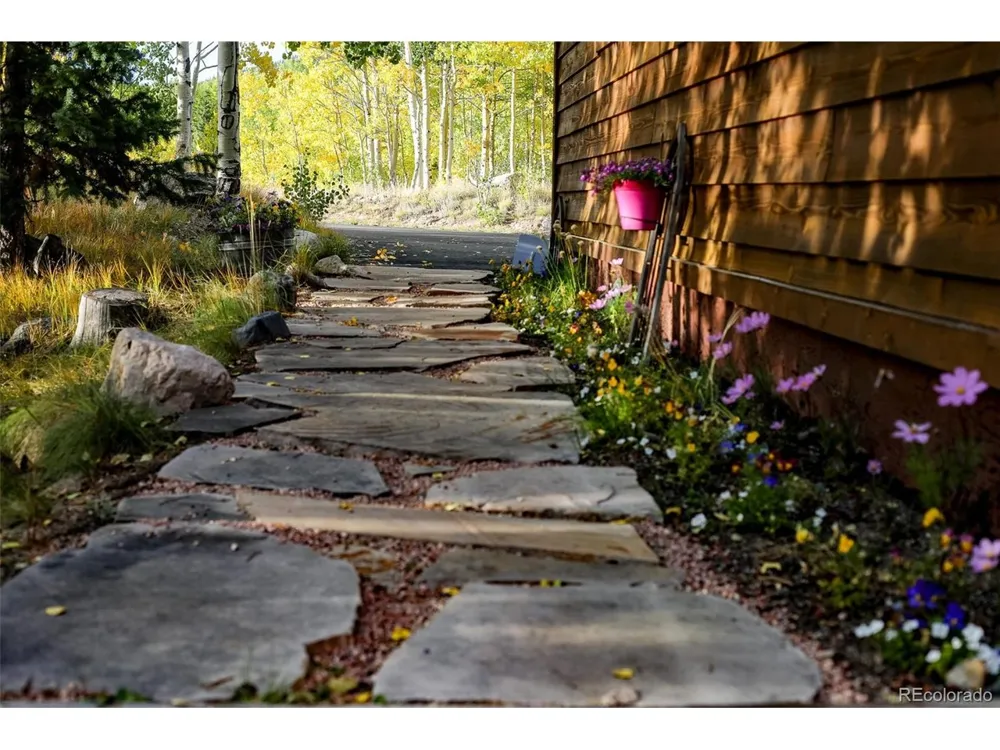 228 Glacier Ridge Road Alma, CO 80420