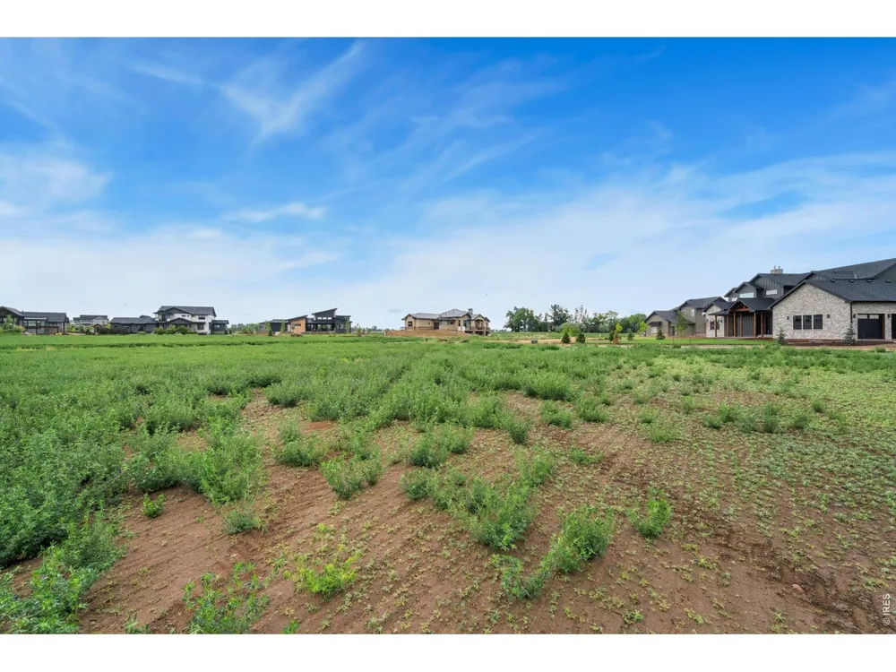 1654 Hauck Meadows Drive Frederick, CO 80504