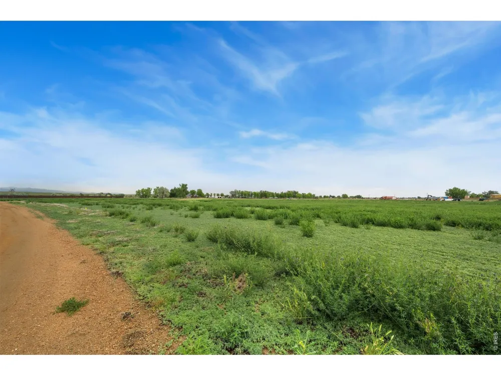 1654 Hauck Meadows Drive Frederick, CO 80504