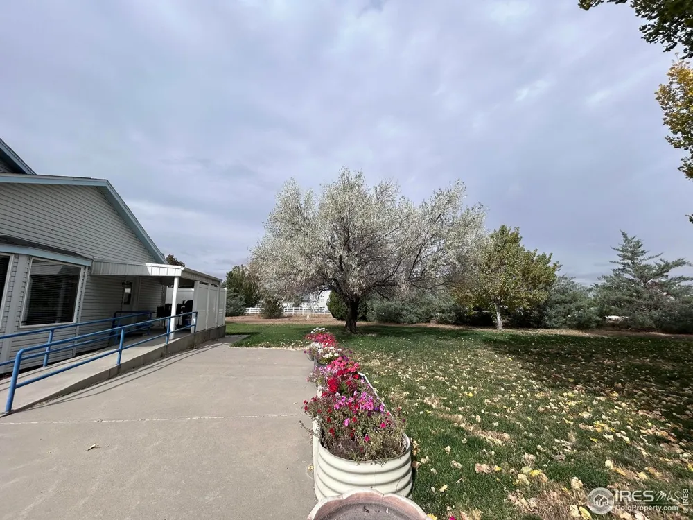 717 3rd Avenue Wiggins, CO 80654