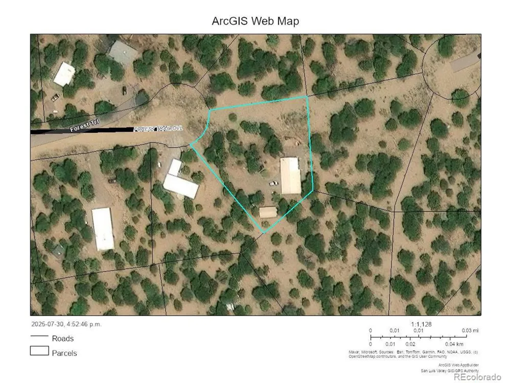 3520 Forest Trail Crestone, CO 81131