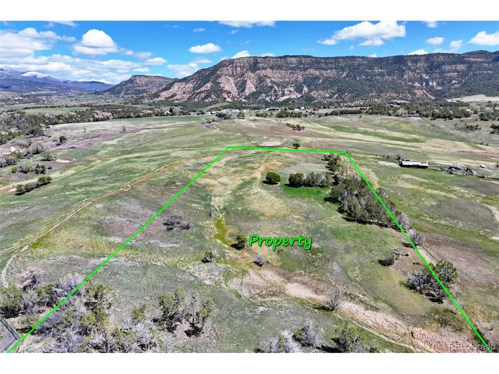 58798 Delores Drive Collbran, CO 81624