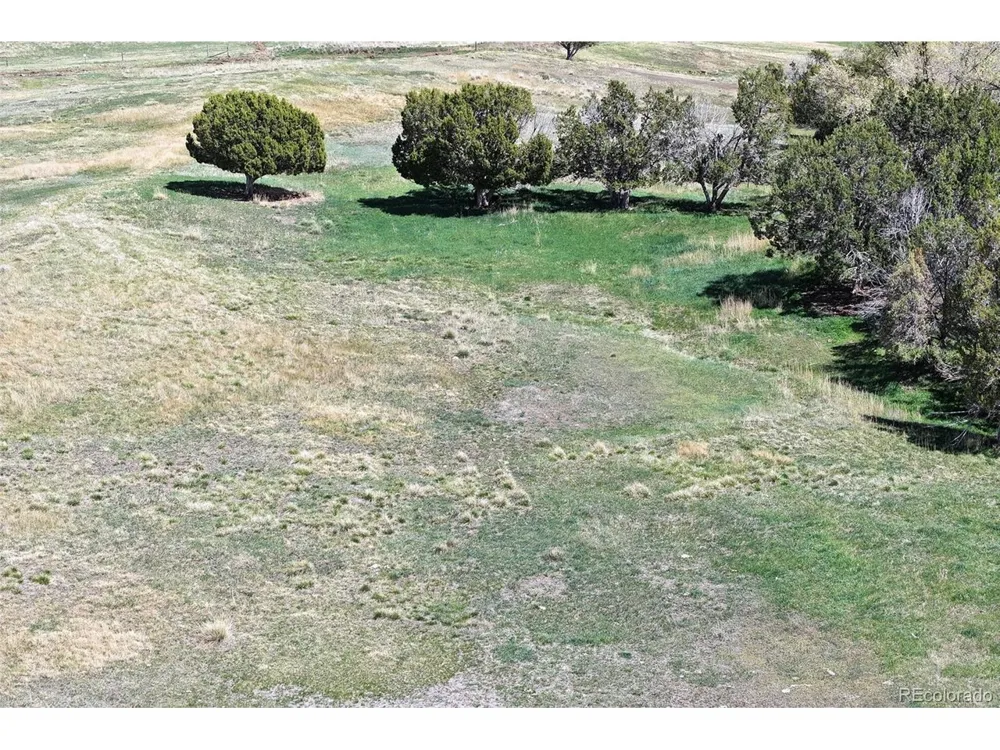 58798 Delores Drive Collbran, CO 81624
