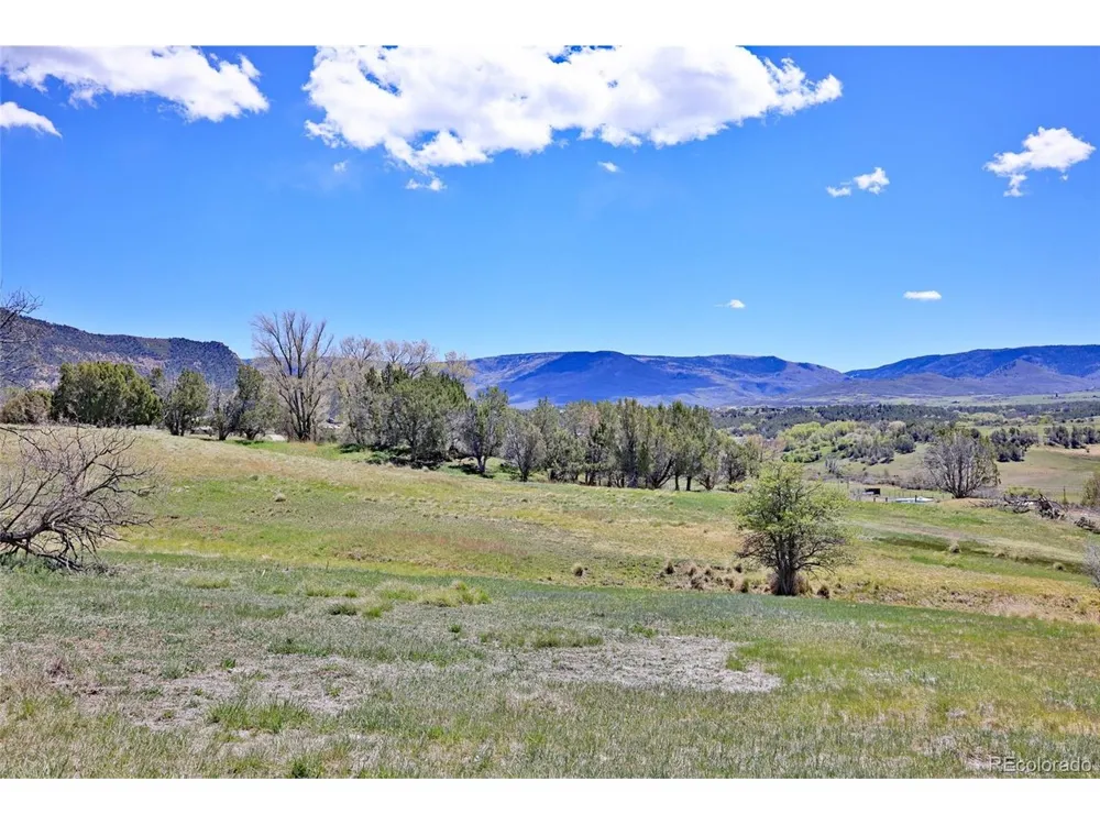58798 Delores Drive Collbran, CO 81624