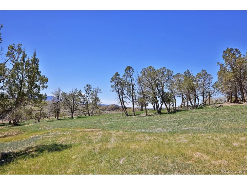58798 Delores Drive Collbran, CO 81624