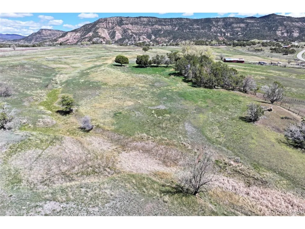 58798 Delores Drive Collbran, CO 81624