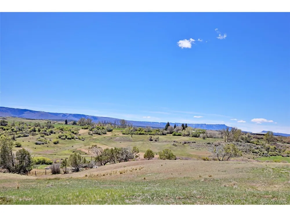 58798 Delores Drive Collbran, CO 81624