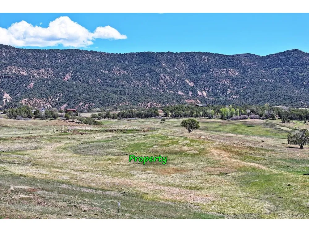 58798 Delores Drive Collbran, CO 81624