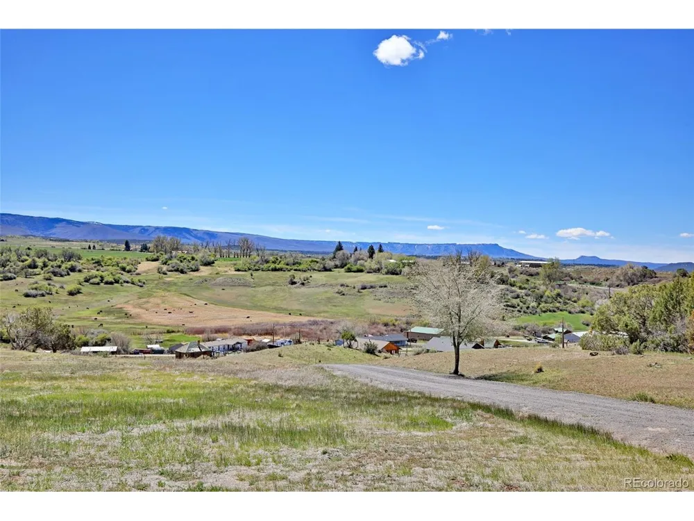 58798 Delores Drive Collbran, CO 81624