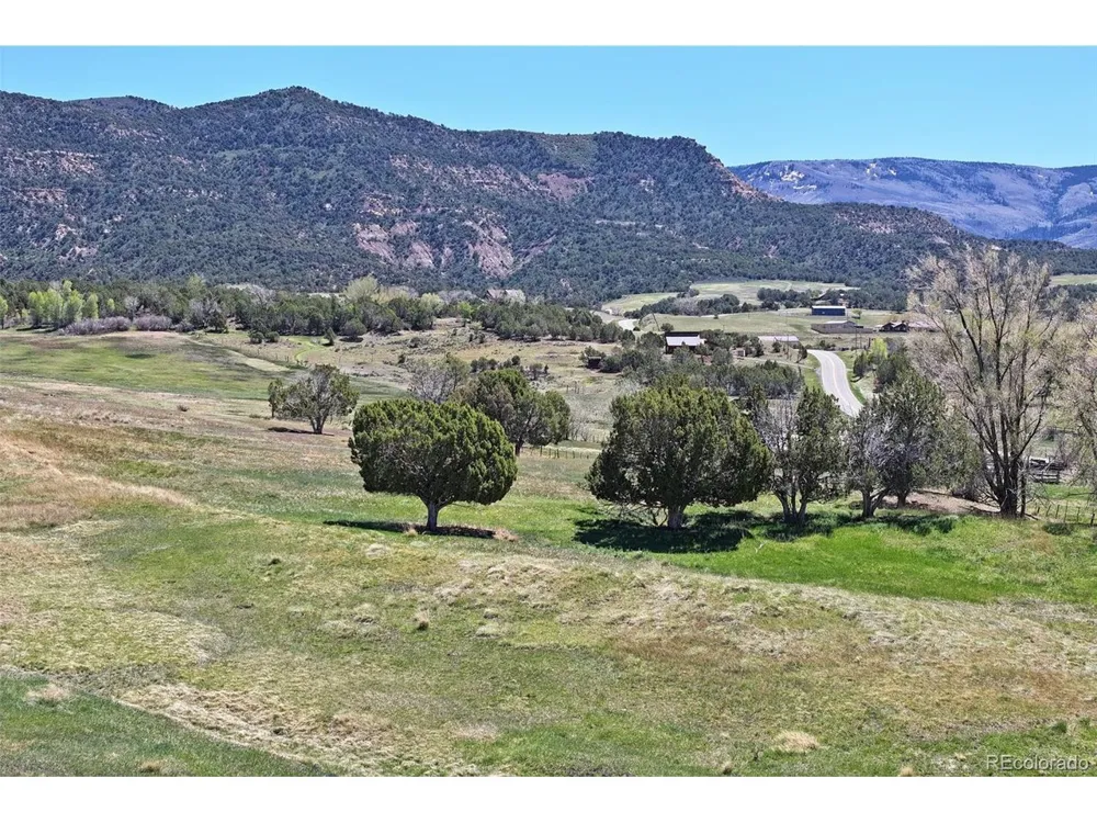 58798 Delores Drive Collbran, CO 81624