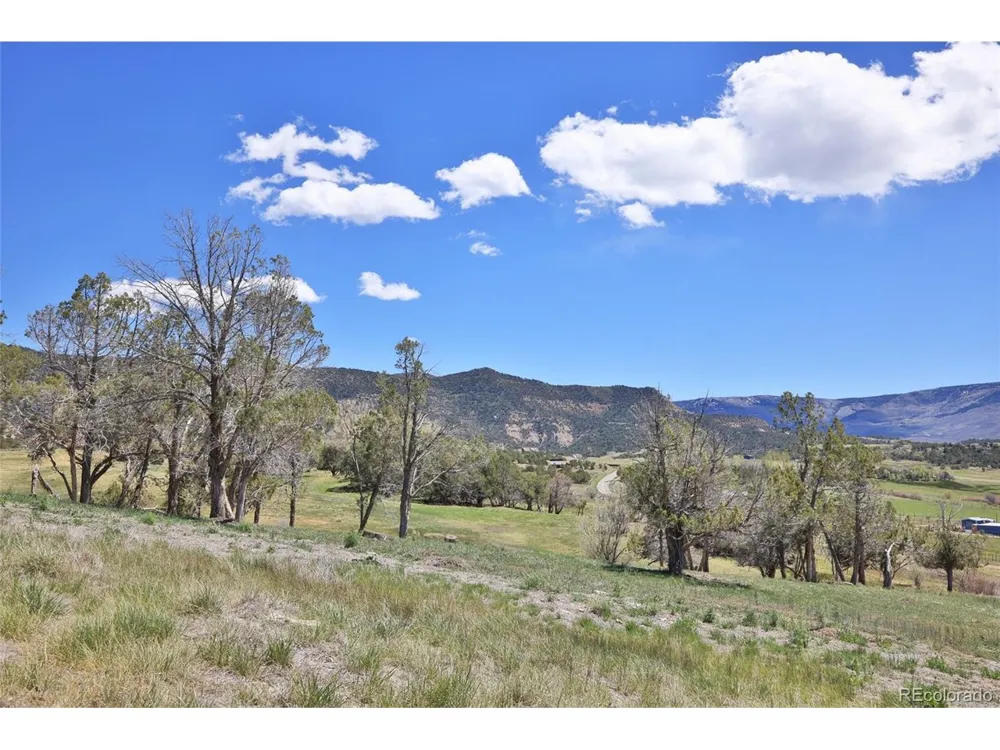 58798 Delores Drive Collbran, CO 81624