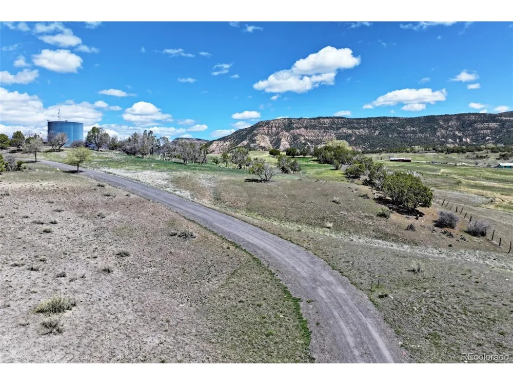 58798 Delores Drive Collbran, CO 81624