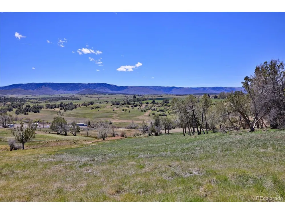 58798 Delores Drive Collbran, CO 81624
