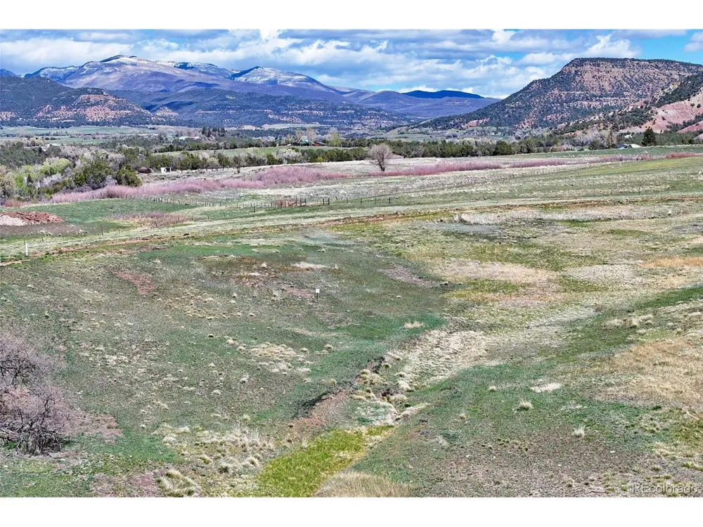 58798 Delores Drive Collbran, CO 81624