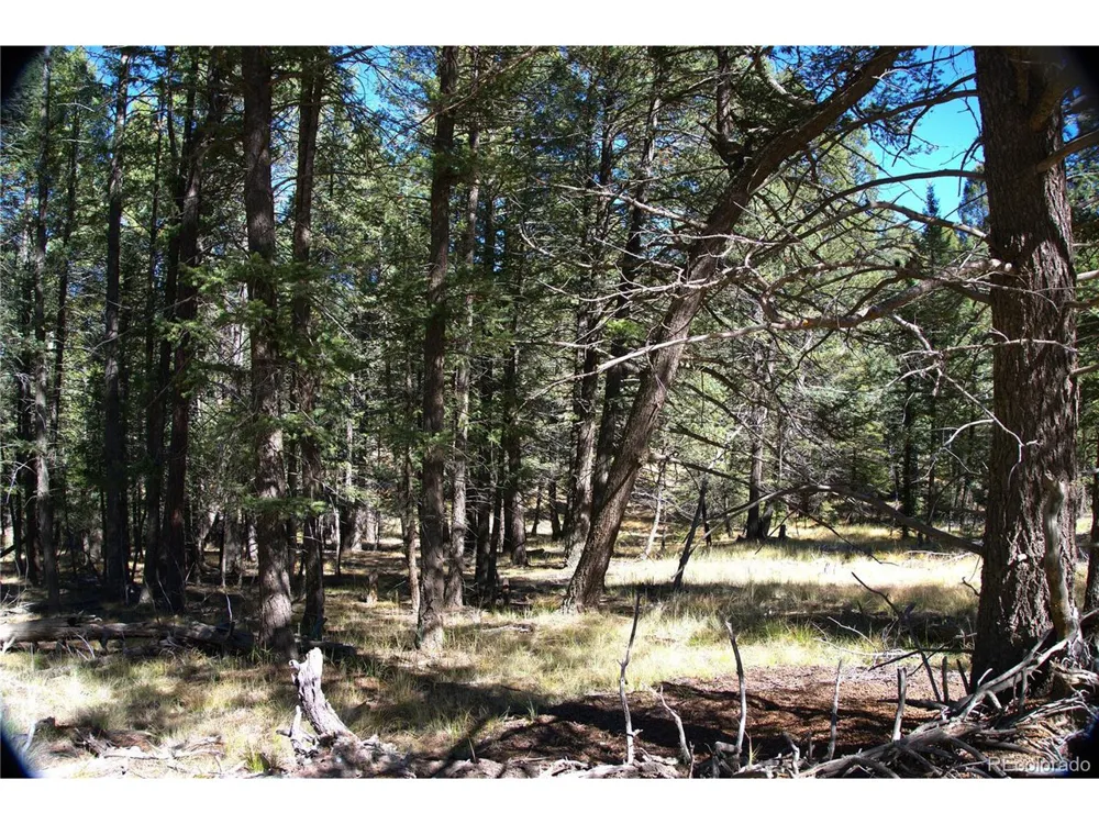 252 Southpark Road Florissant, CO 80816