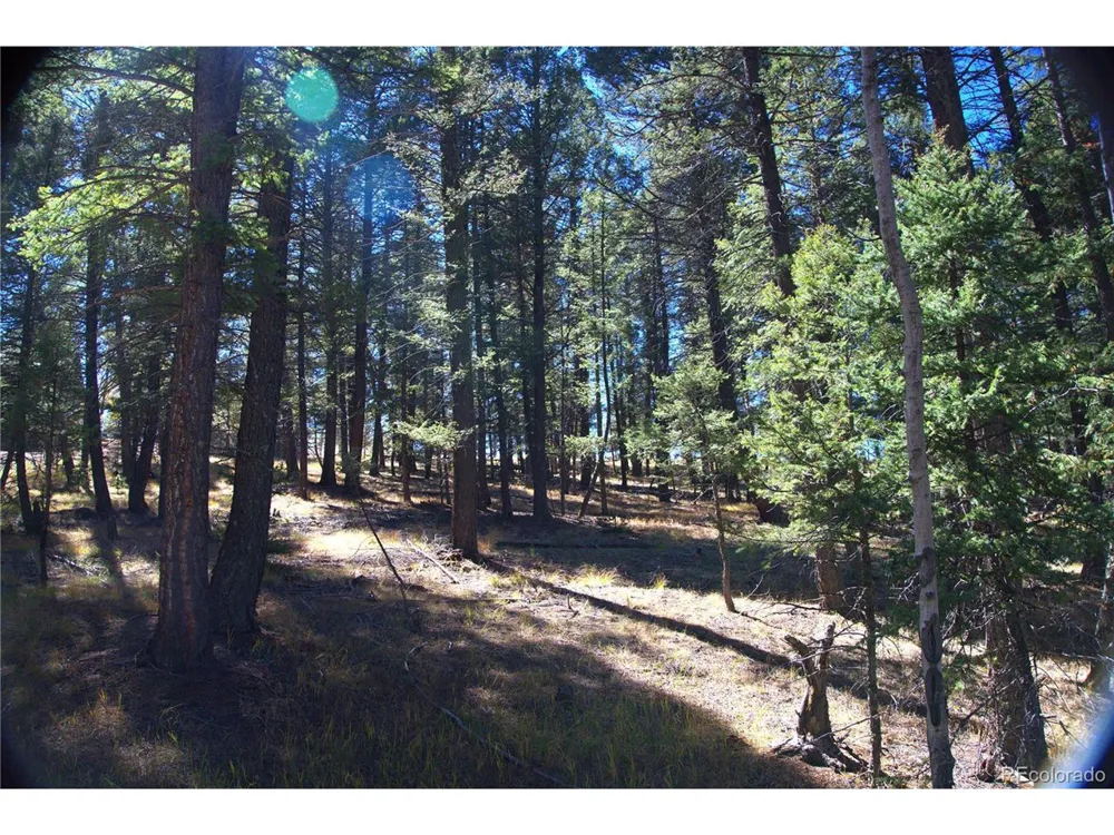 252 Southpark Road Florissant, CO 80816