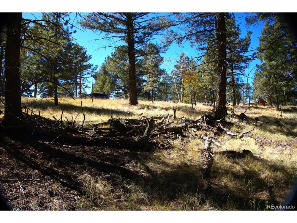 252 Southpark Road Florissant, CO 80816