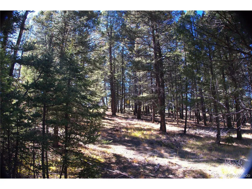 252 Southpark Road Florissant, CO 80816