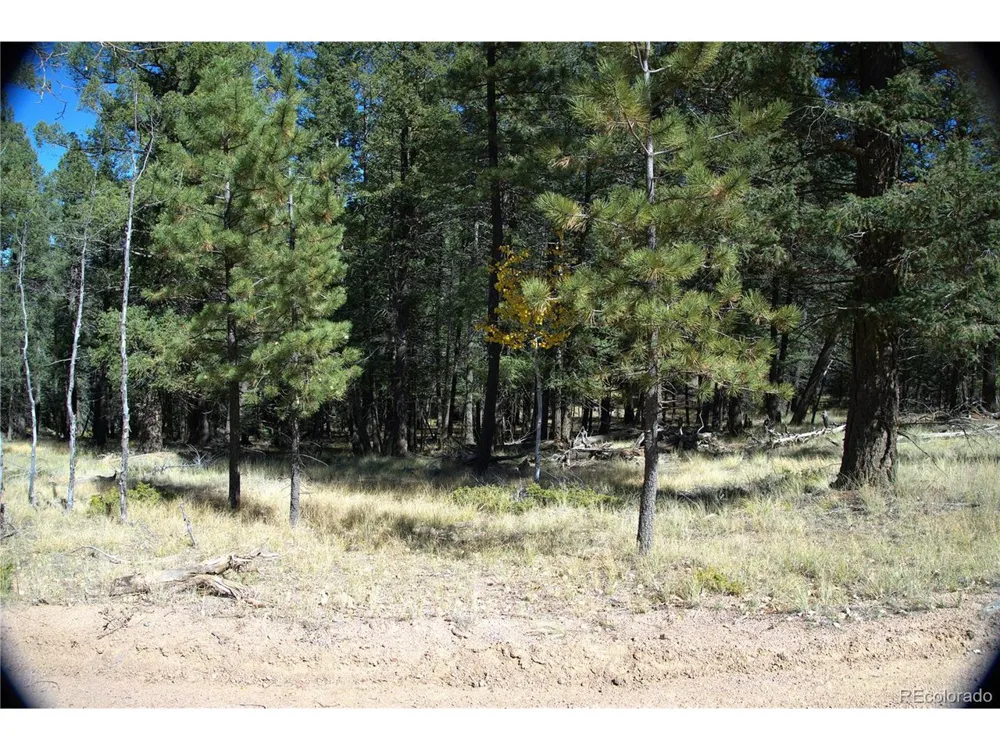 252 Southpark Road Florissant, CO 80816