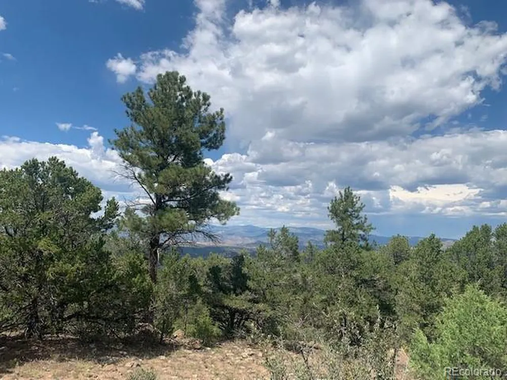 188 Looters Lane Westcliffe, CO 81252