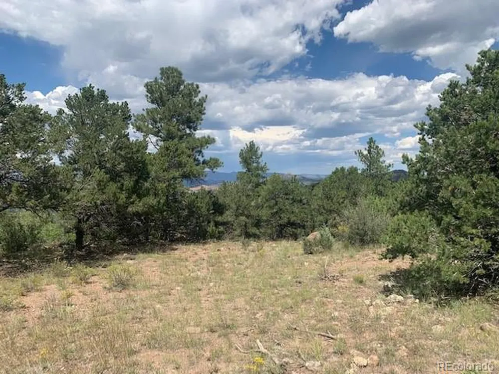 188 Looters Lane Westcliffe, CO 81252