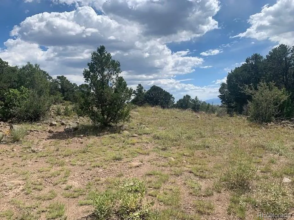 188 Looters Lane Westcliffe, CO 81252