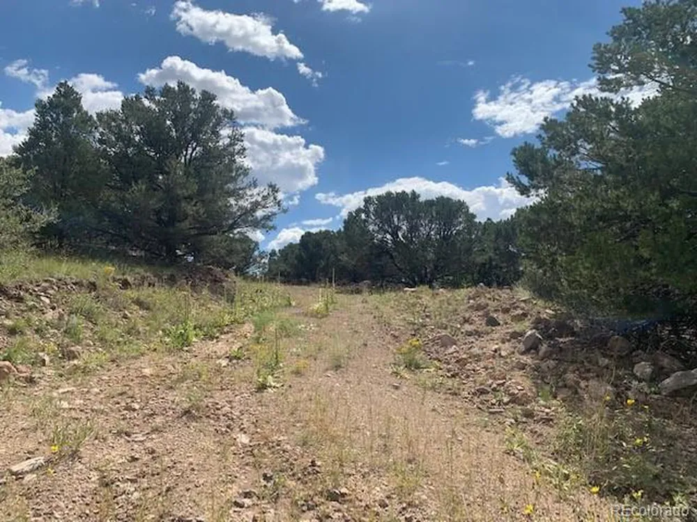 188 Looters Lane Westcliffe, CO 81252