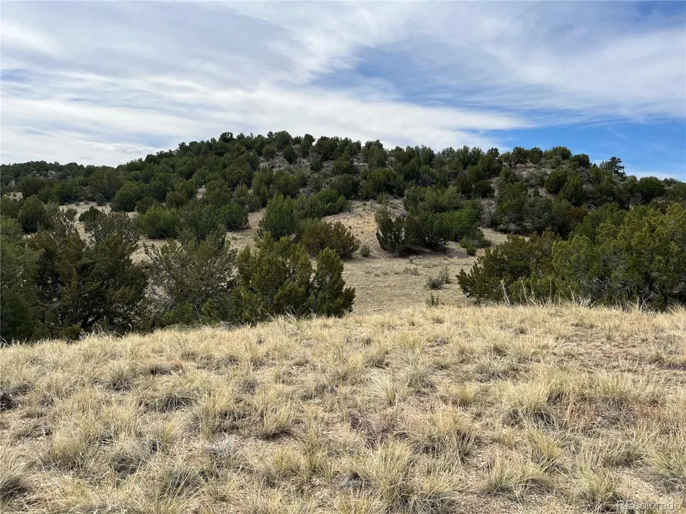 2 Red Creek Springs Road Pueblo, CO 81005
